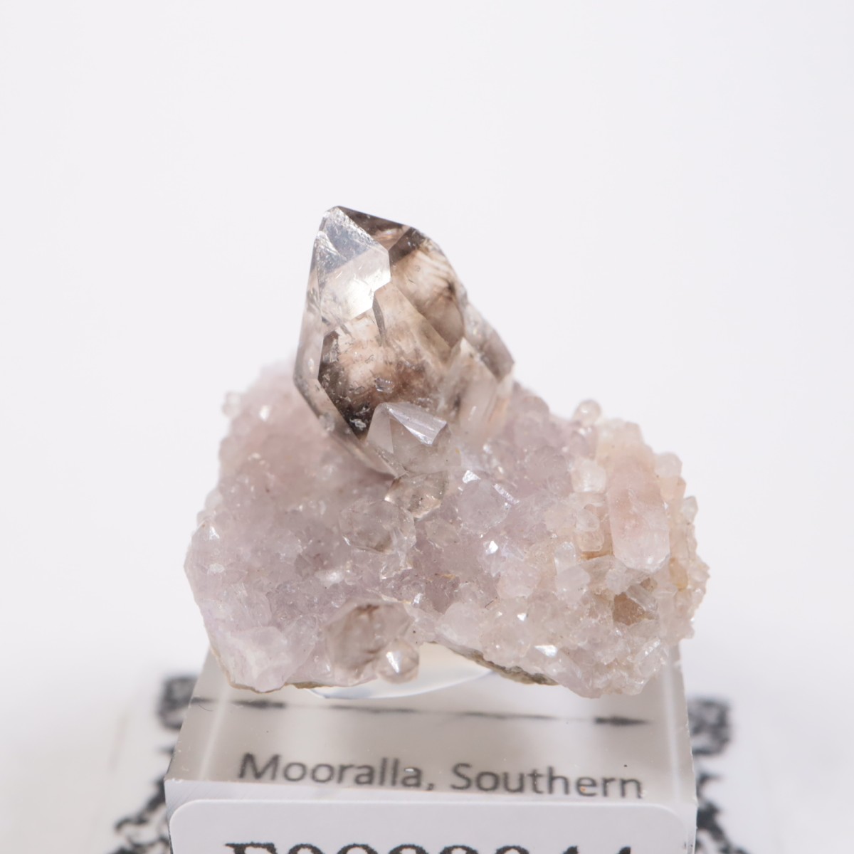 �������ȥ�ꥢ�� ����徽