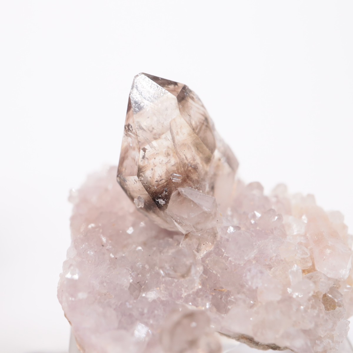 �������ȥ�ꥢ�� ����徽