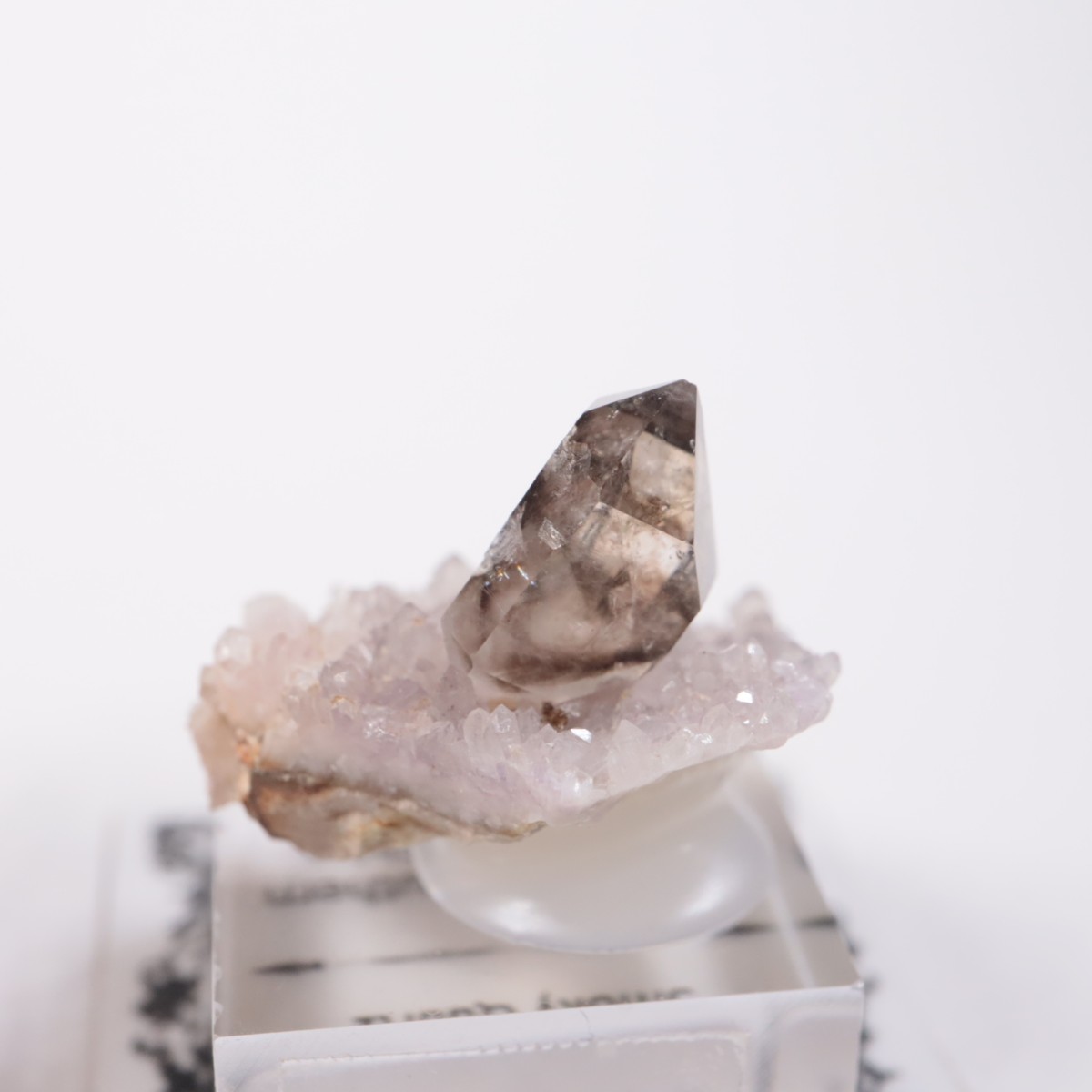 �������ȥ�ꥢ�� ����徽