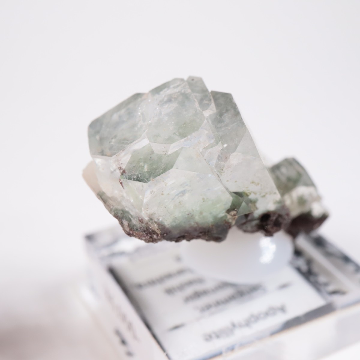 ����ɻ� ���ݥե��饤��