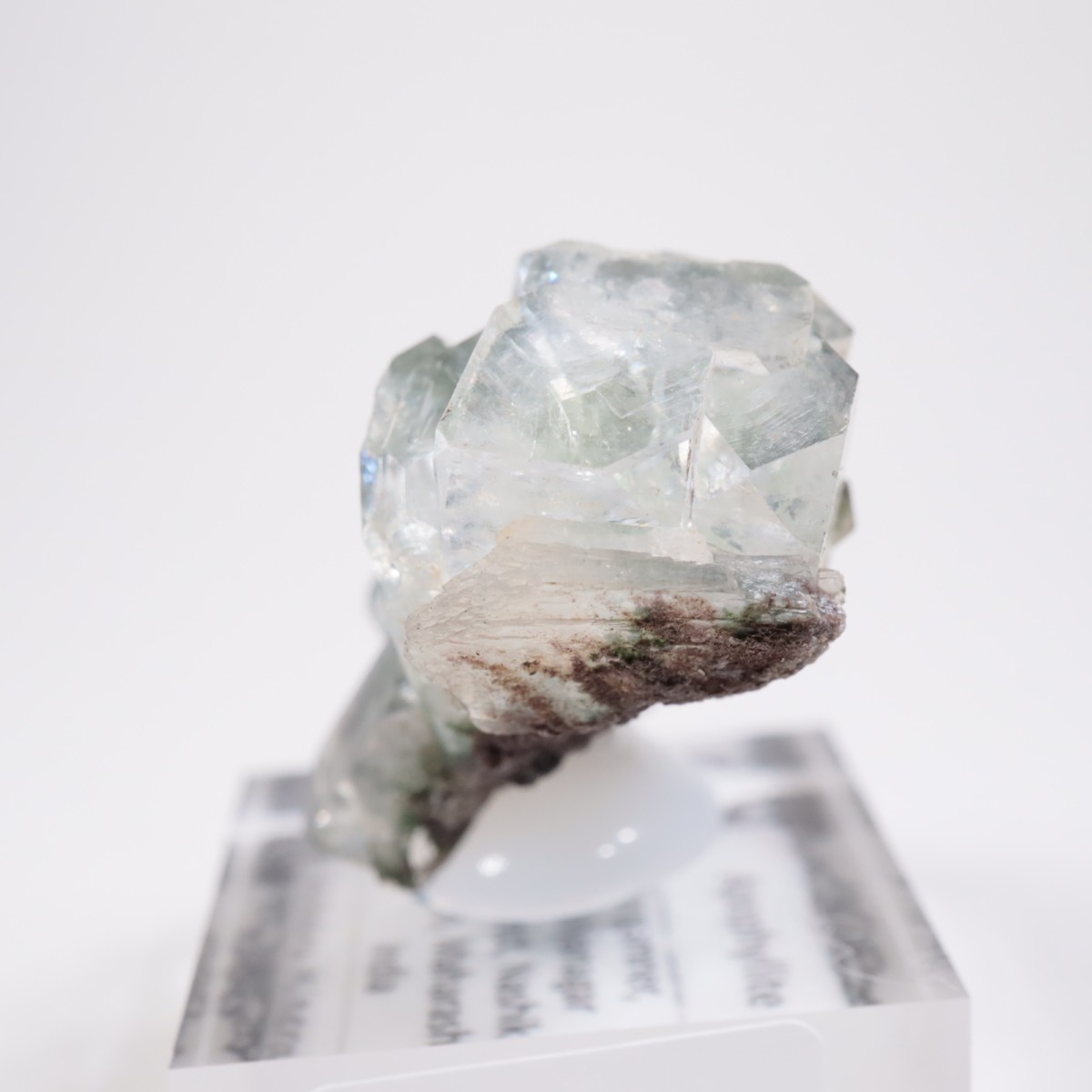 ����ɻ� ���ݥե��饤��