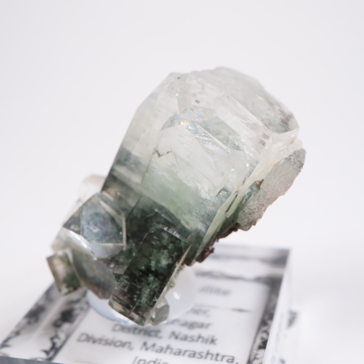 ����ɻ� ���ݥե��饤��