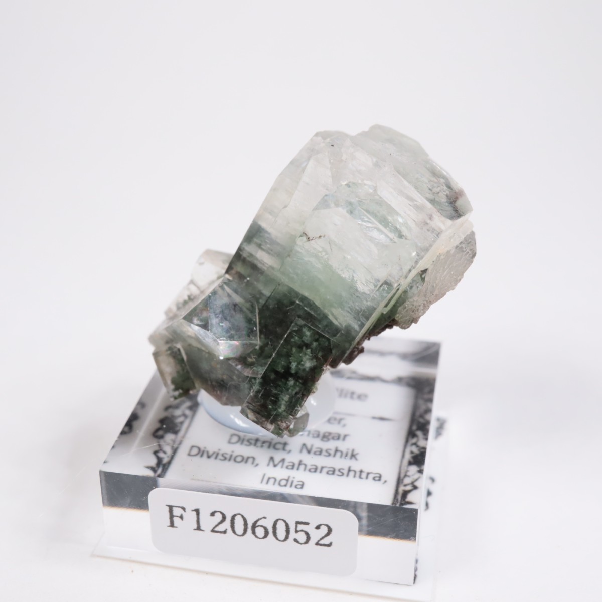 ����ɻ� ���ݥե��饤��