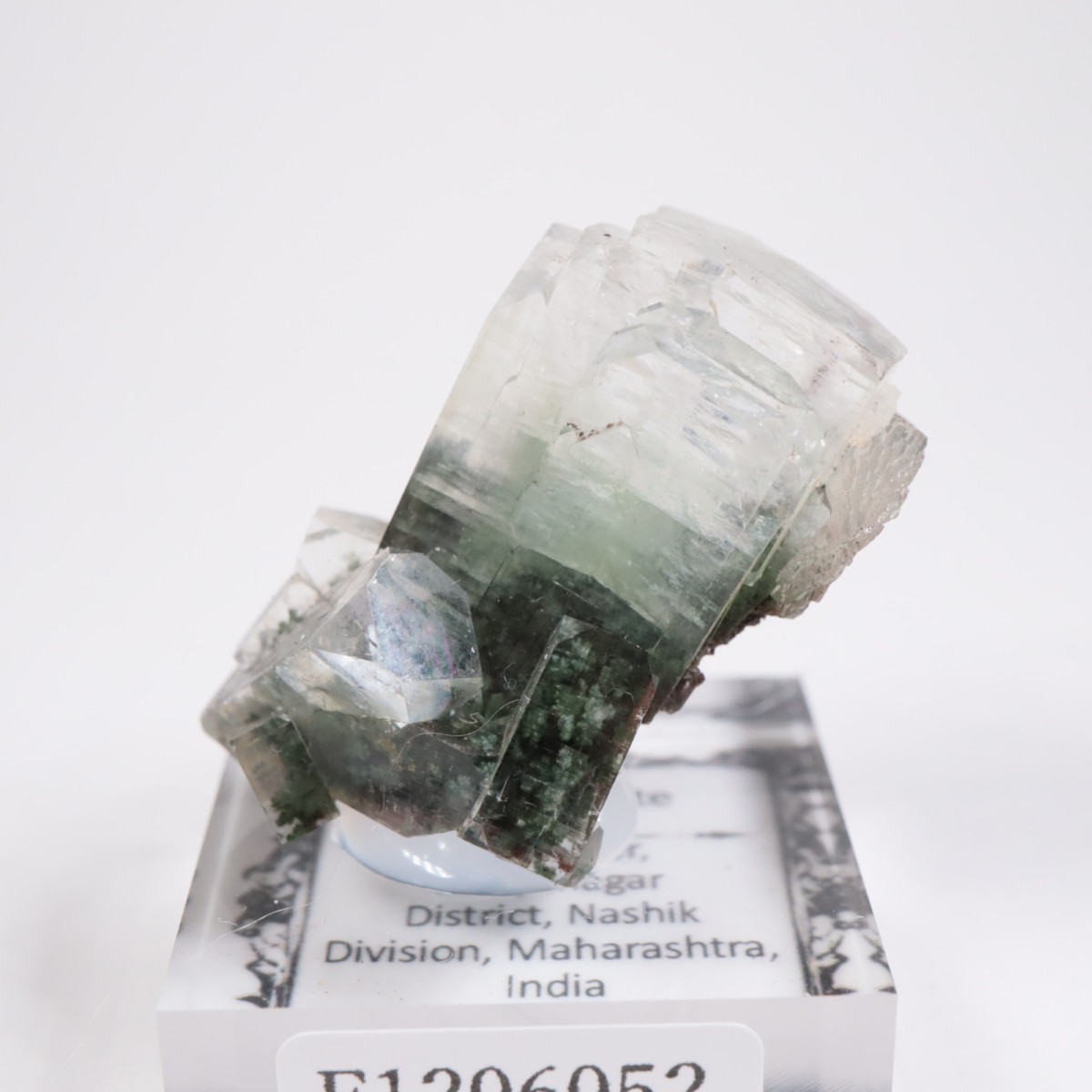 ����ɻ� ���ݥե��饤��