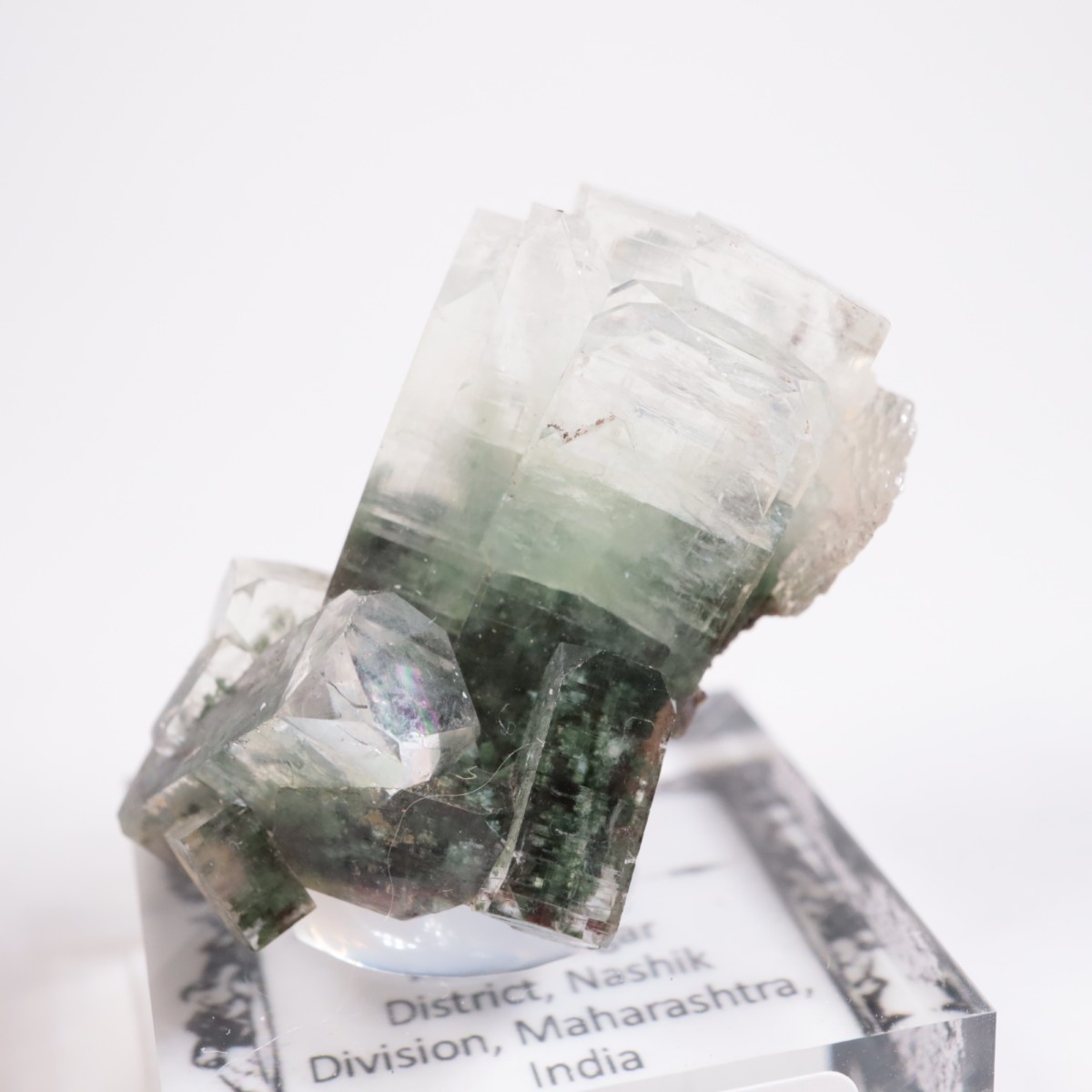 ����ɻ� ���ݥե��饤��