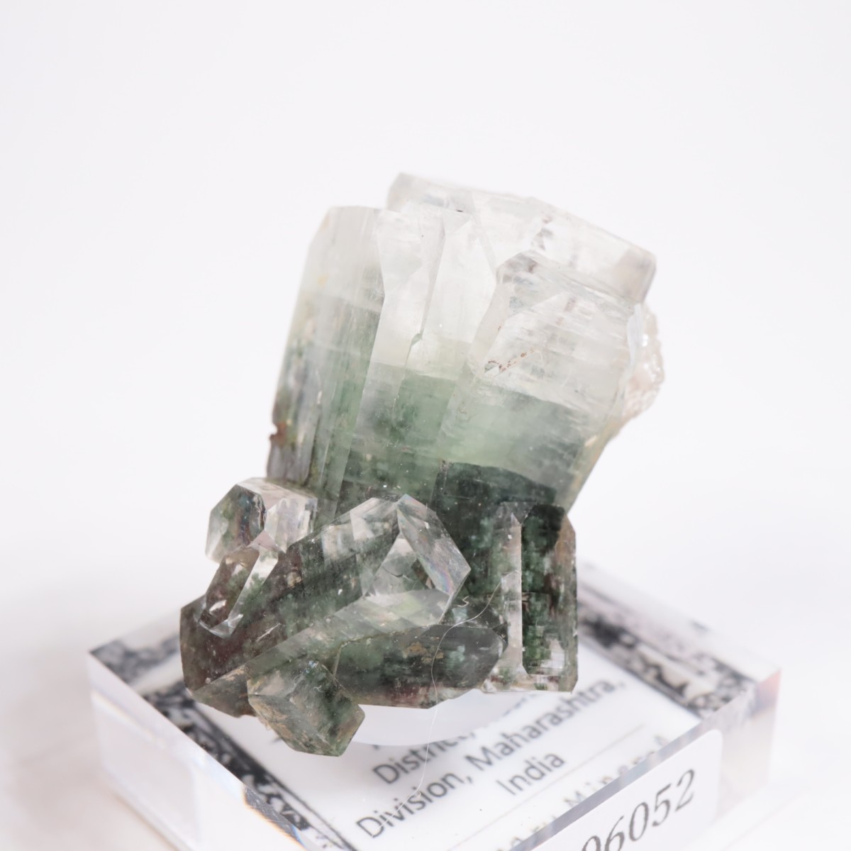 ����ɻ� ���ݥե��饤��