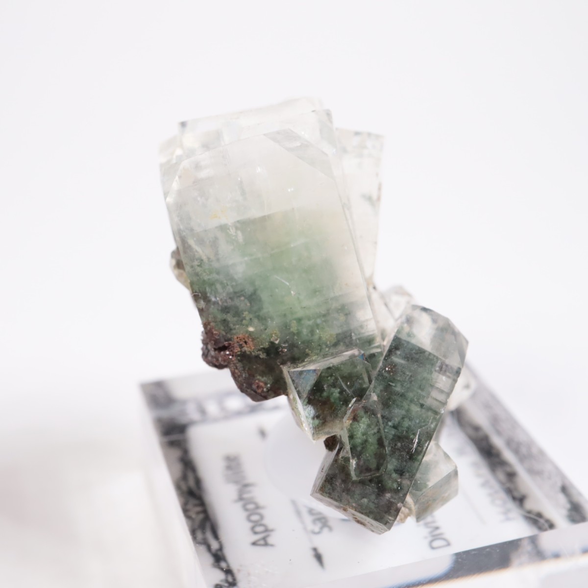 ����ɻ� ���ݥե��饤��