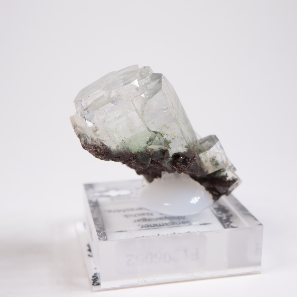 ����ɻ� ���ݥե��饤��