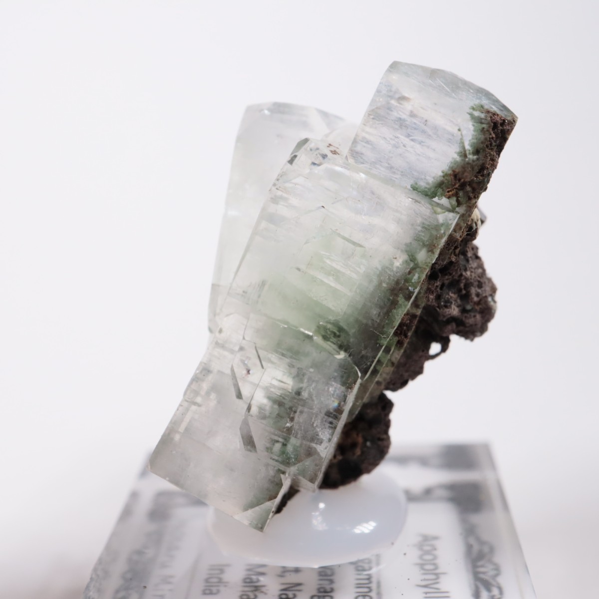 ����ɻ� ���ݥե��饤��