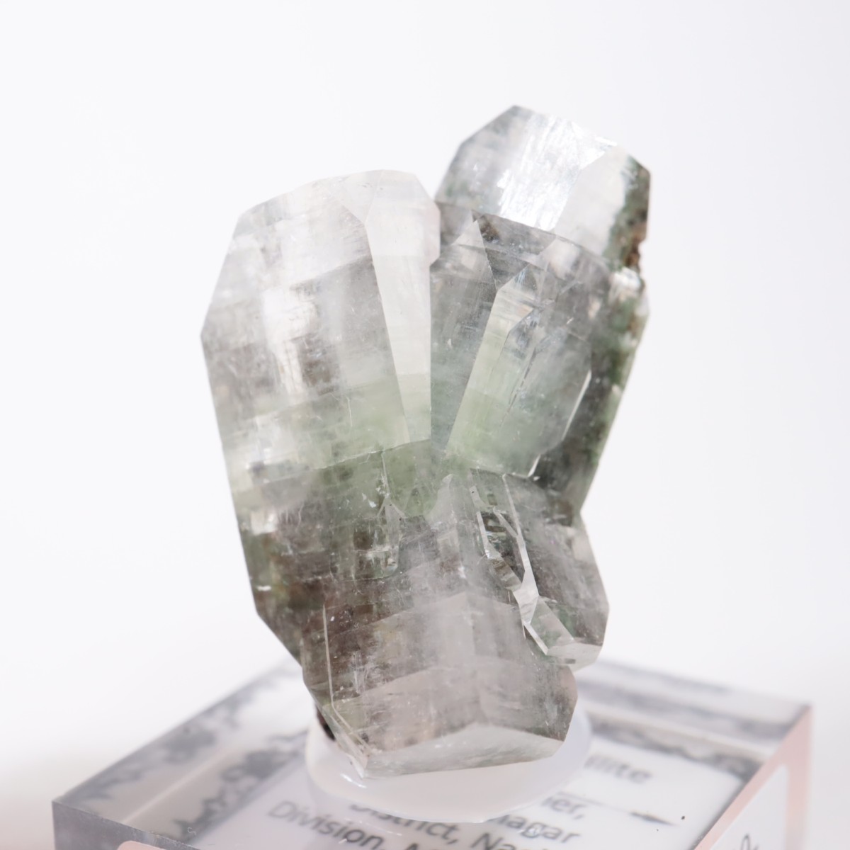 ����ɻ� ���ݥե��饤��