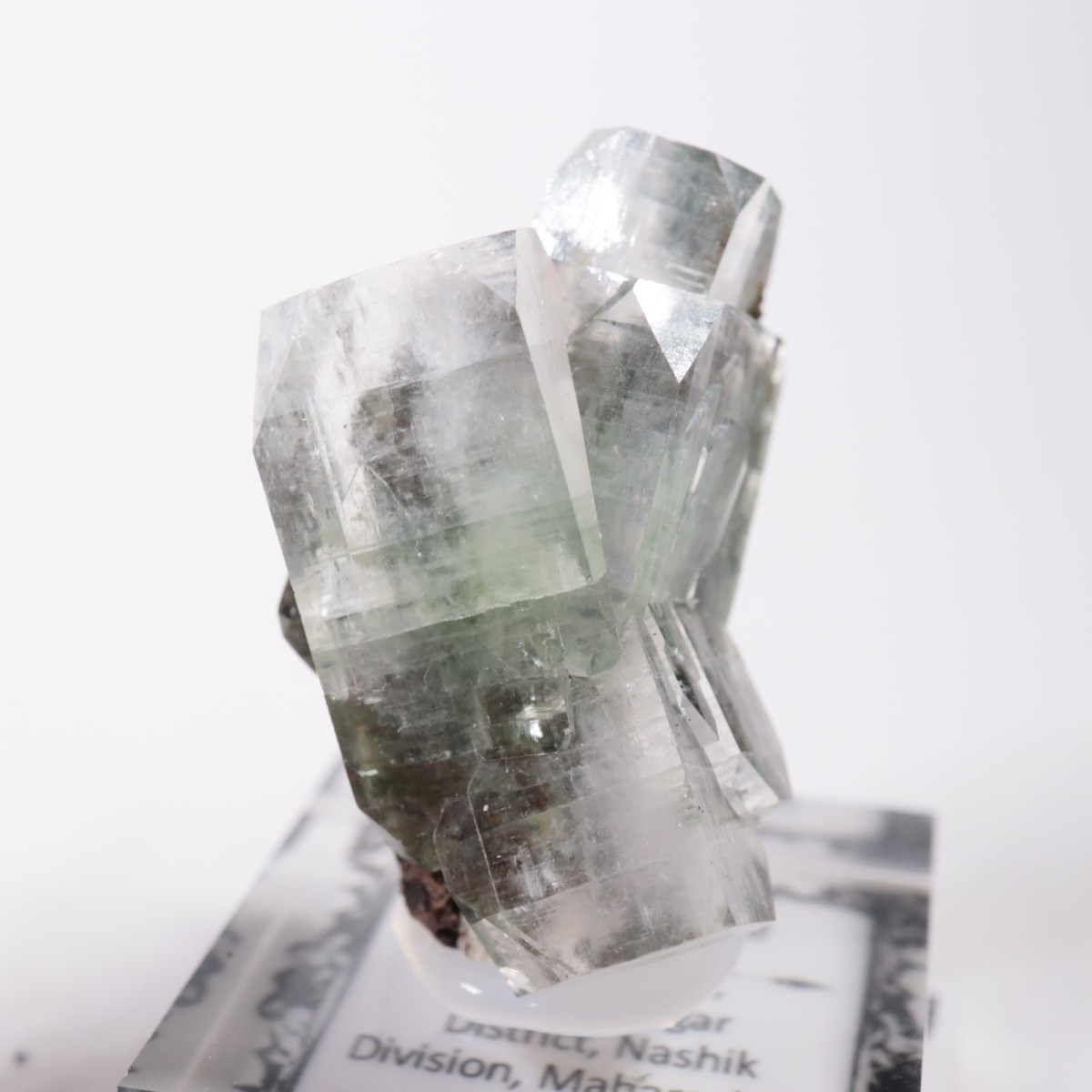 ����ɻ� ���ݥե��饤��