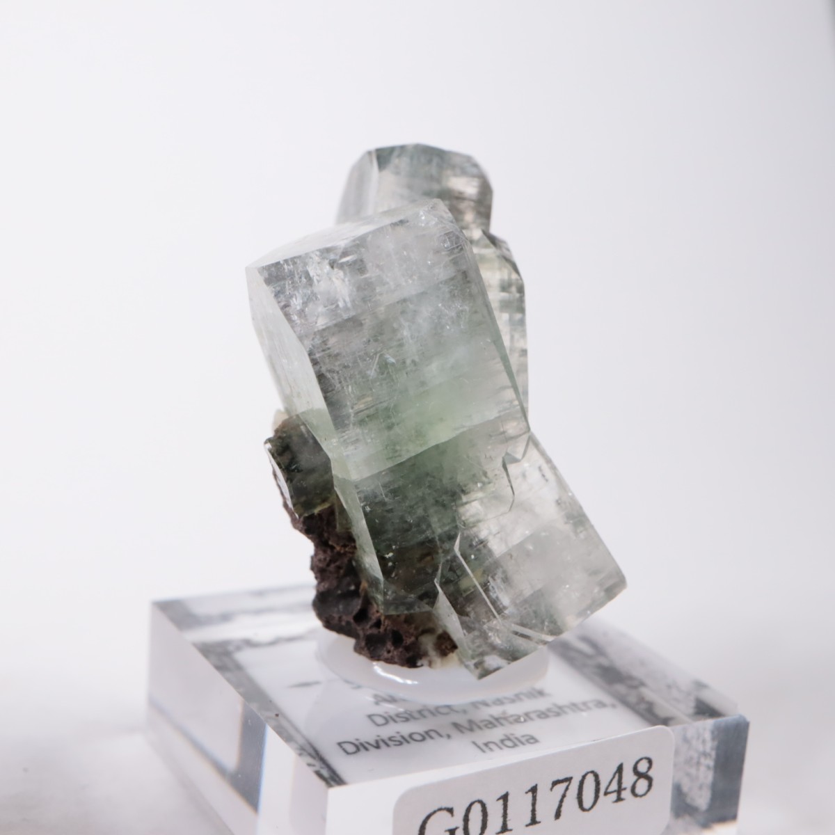 ����ɻ� ���ݥե��饤��