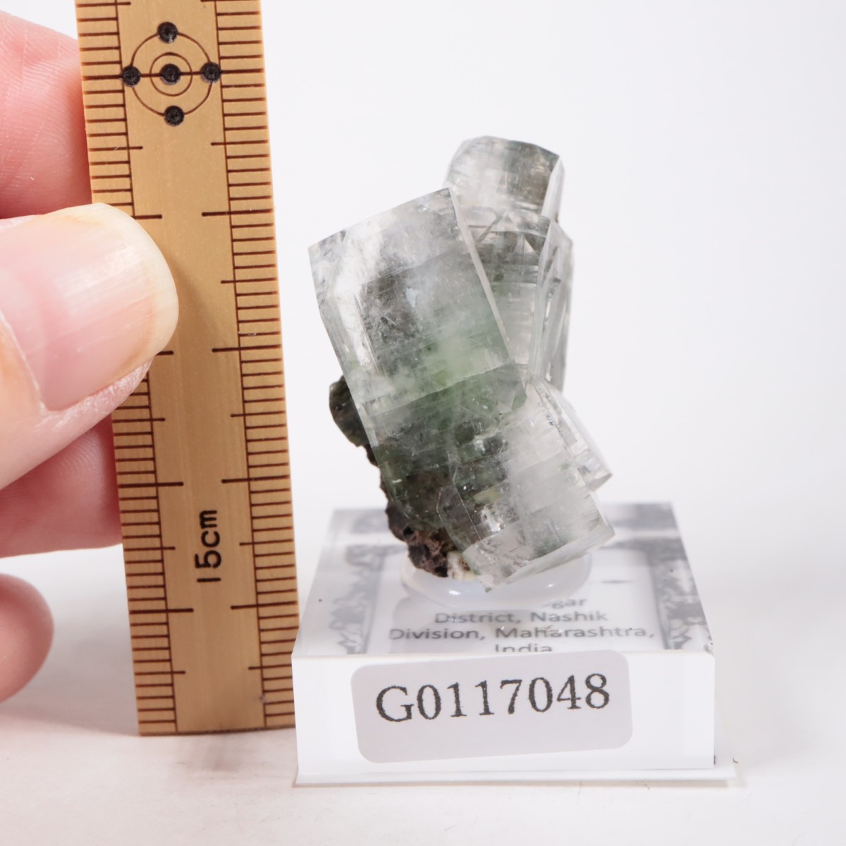 ����ɻ� ���ݥե��饤��