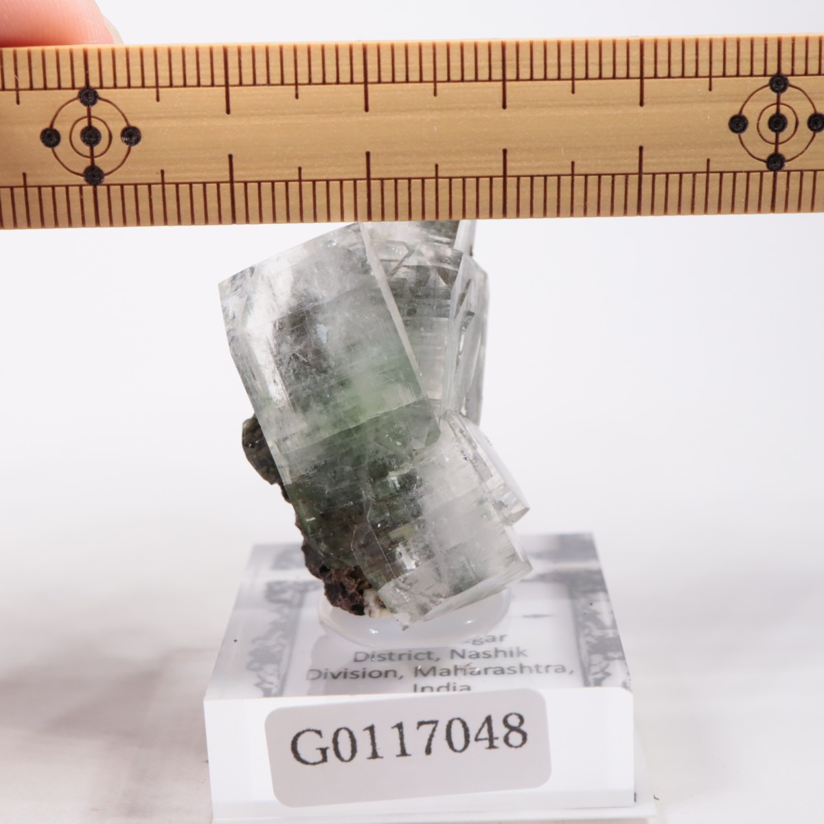 ����ɻ� ���ݥե��饤��