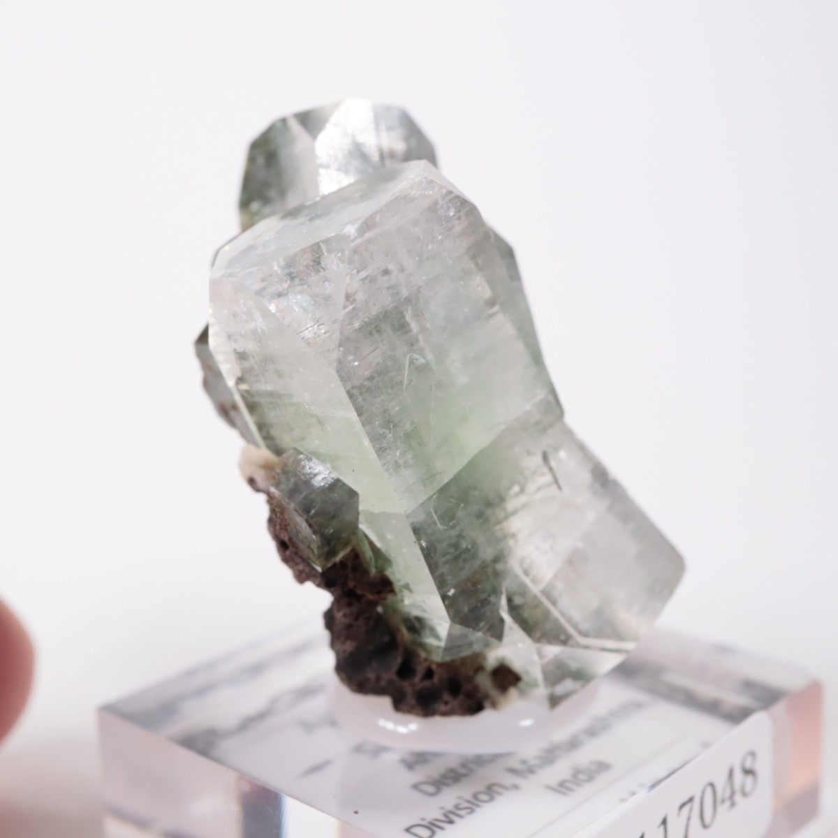 ����ɻ� ���ݥե��饤��