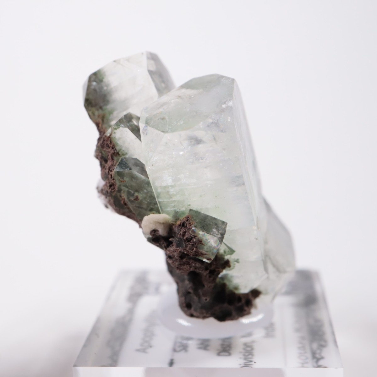 ����ɻ� ���ݥե��饤��