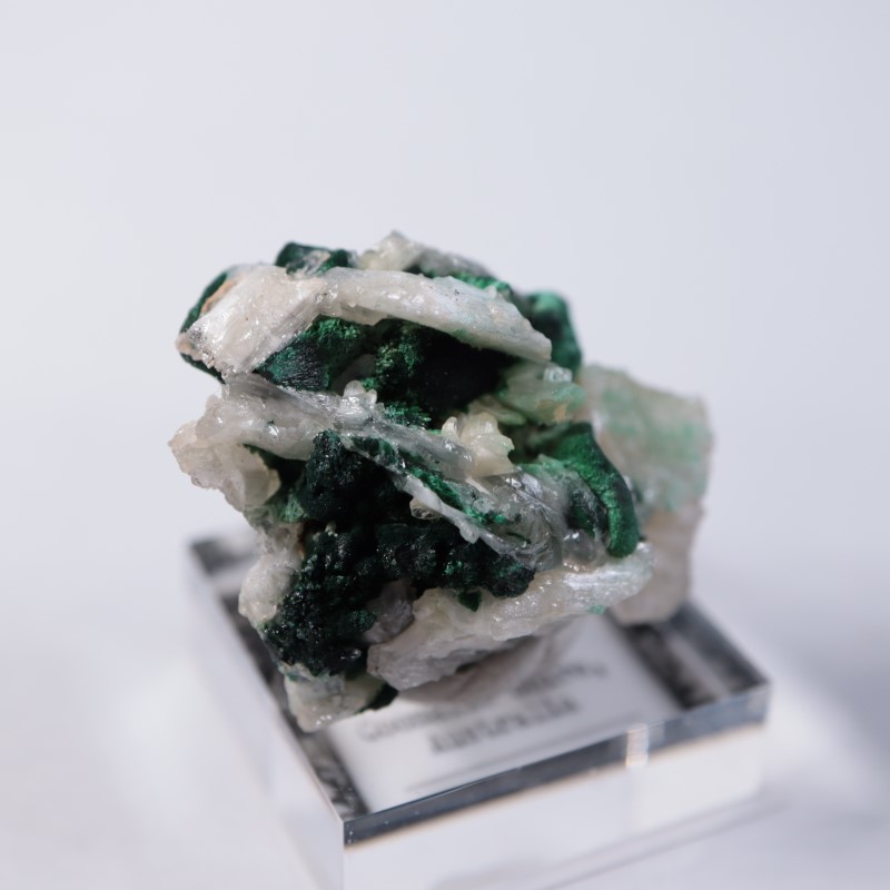 �������ȥ�ꥢ�����ޥ饫���ȡ����륵����