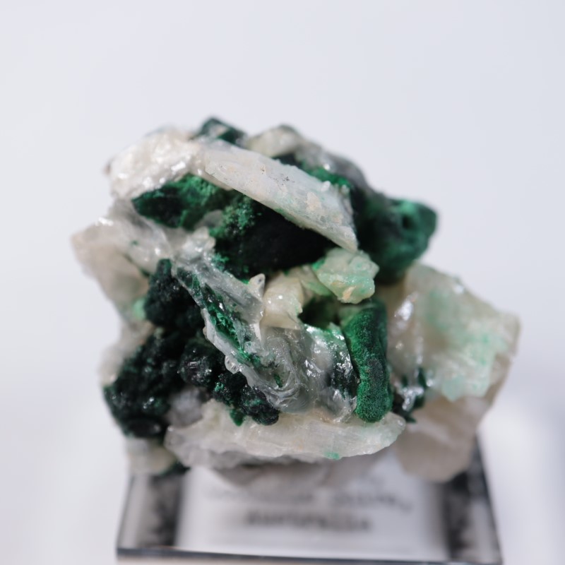 �������ȥ�ꥢ�����ޥ饫���ȡ����륵����