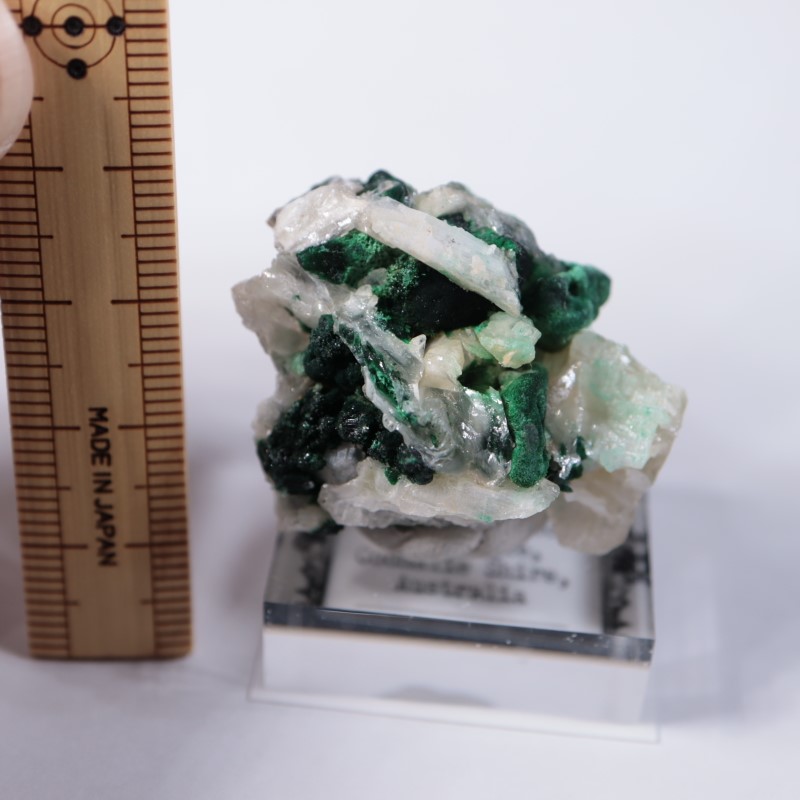 �������ȥ�ꥢ�����ޥ饫���ȡ����륵����