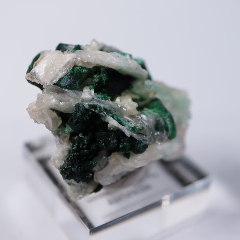 �������ȥ�ꥢ�����ޥ饫���ȡ����륵����