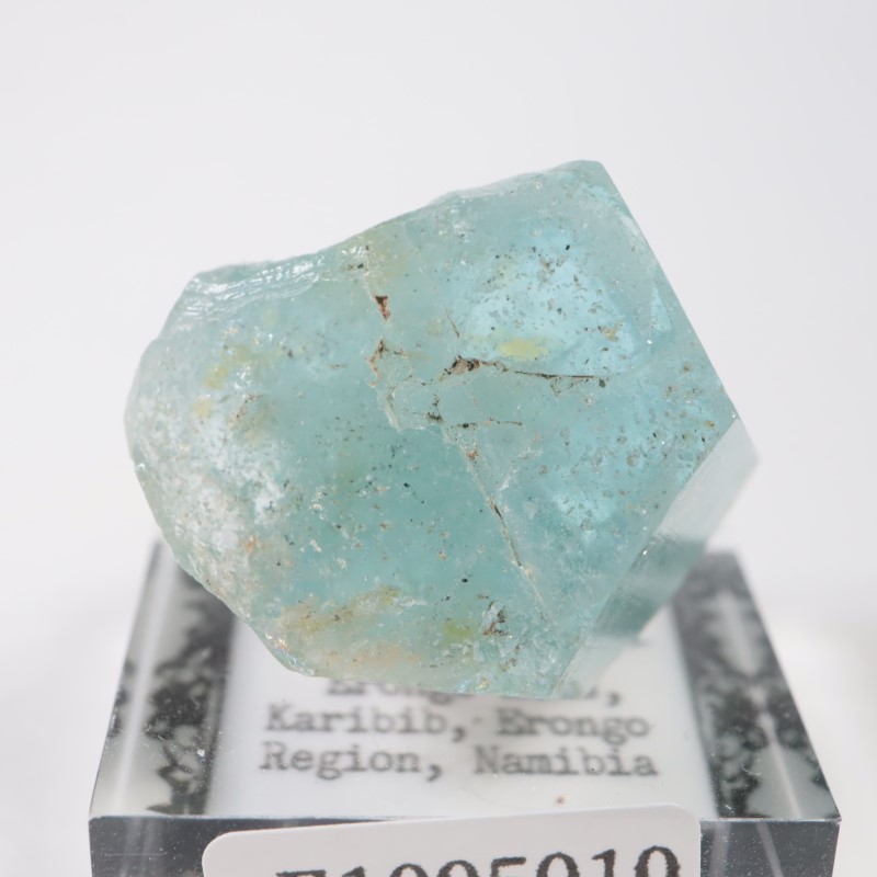 �����󥴹ۻ��� �������ޥ��