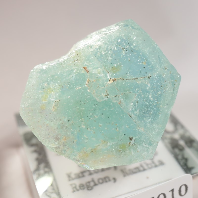 �����󥴹ۻ��� �������ޥ��