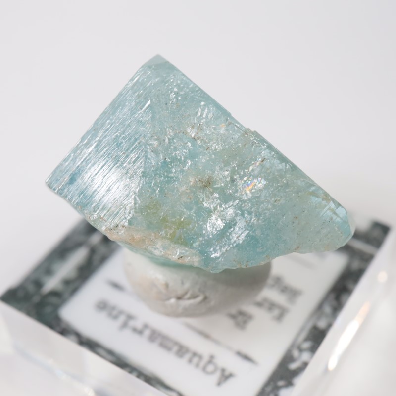 �����󥴹ۻ��� �������ޥ��