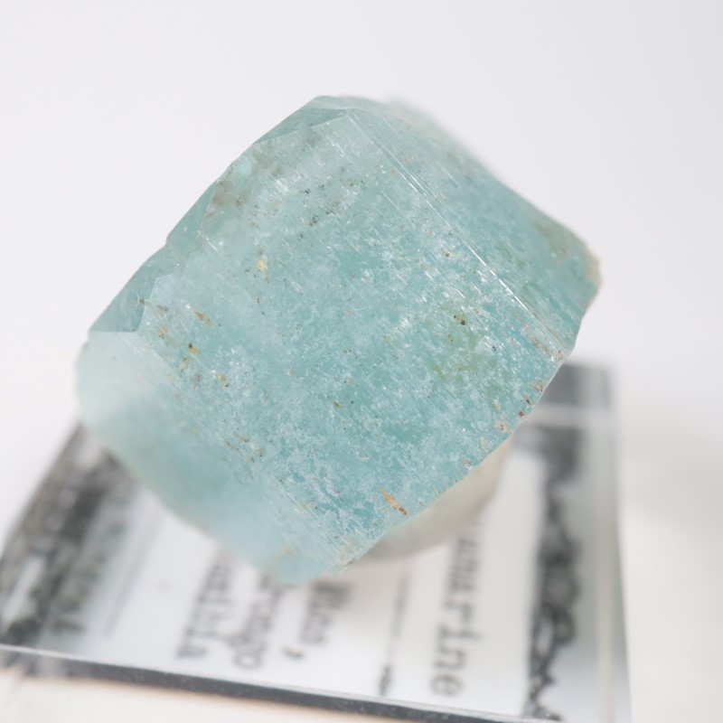 �����󥴹ۻ��� �������ޥ��