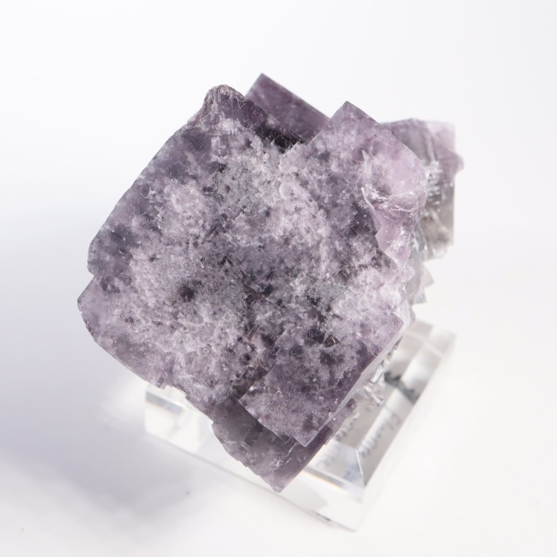 Purple Rain Pocket ե饤