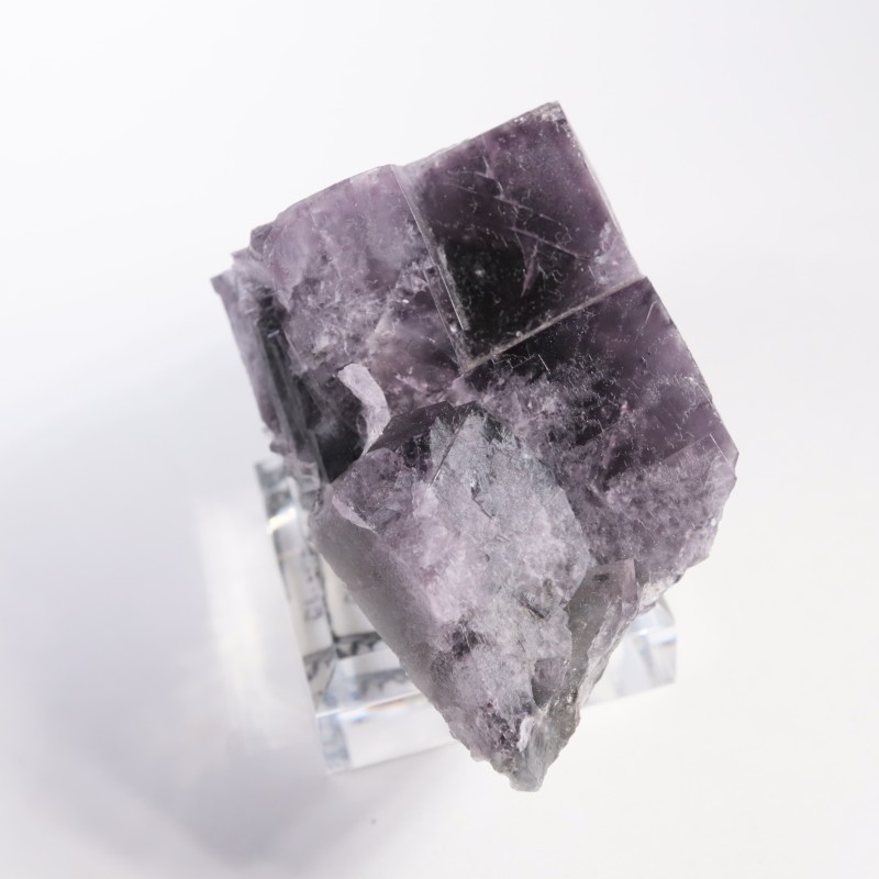 Purple Rain Pocket ե饤