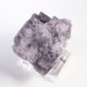 Purple Rain Pocket ե饤
