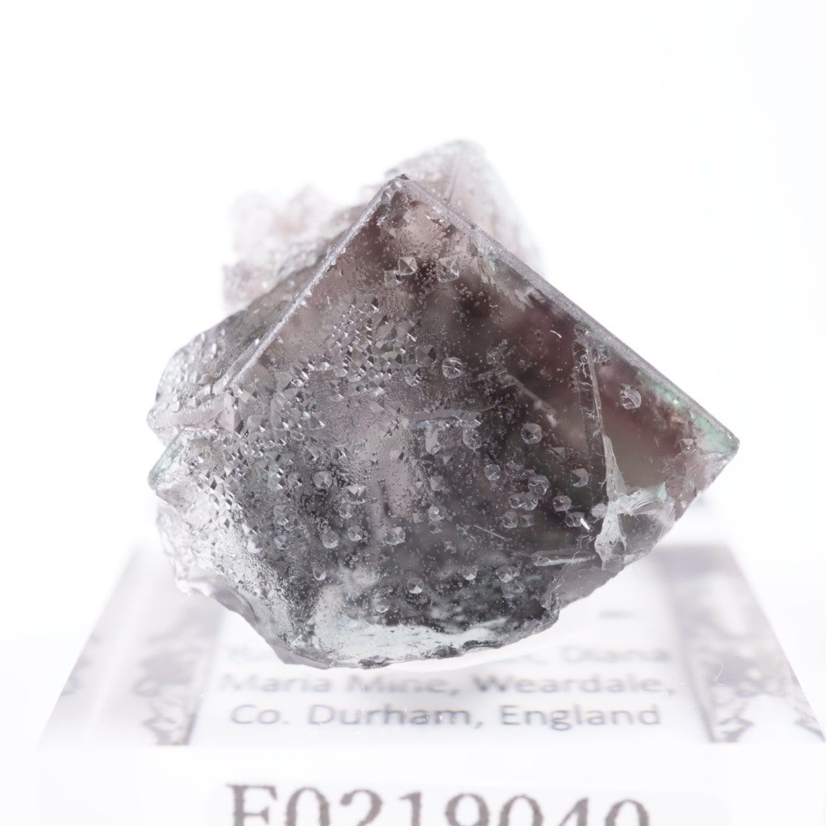 Yum Yum Pocket ③イギリス　フローライト 鉱物　標本 Yum Yum Pocket ③イギリス フローライト 鉱物 標本 - メルカリ