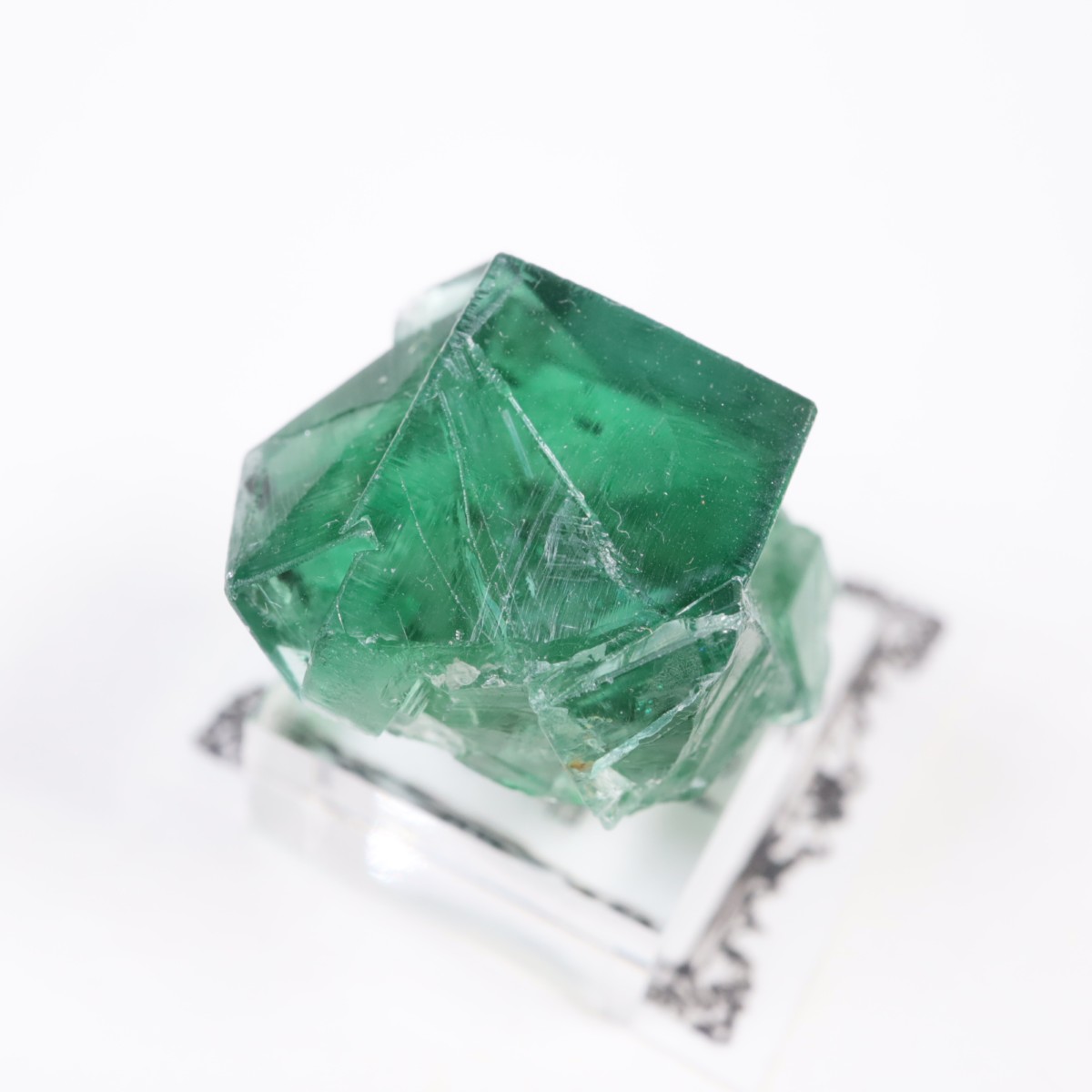 Greedy Hog Pocket ե饤