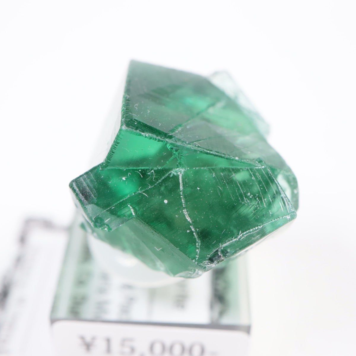 Greedy Hog Pocket ե饤