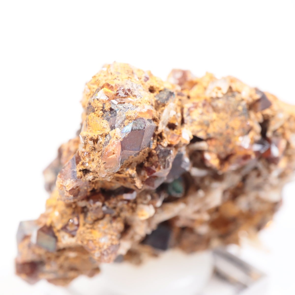 ���ɸ�ŷ��¼�ԼԴԳٻ� �쥤��ܡ������ͥå�