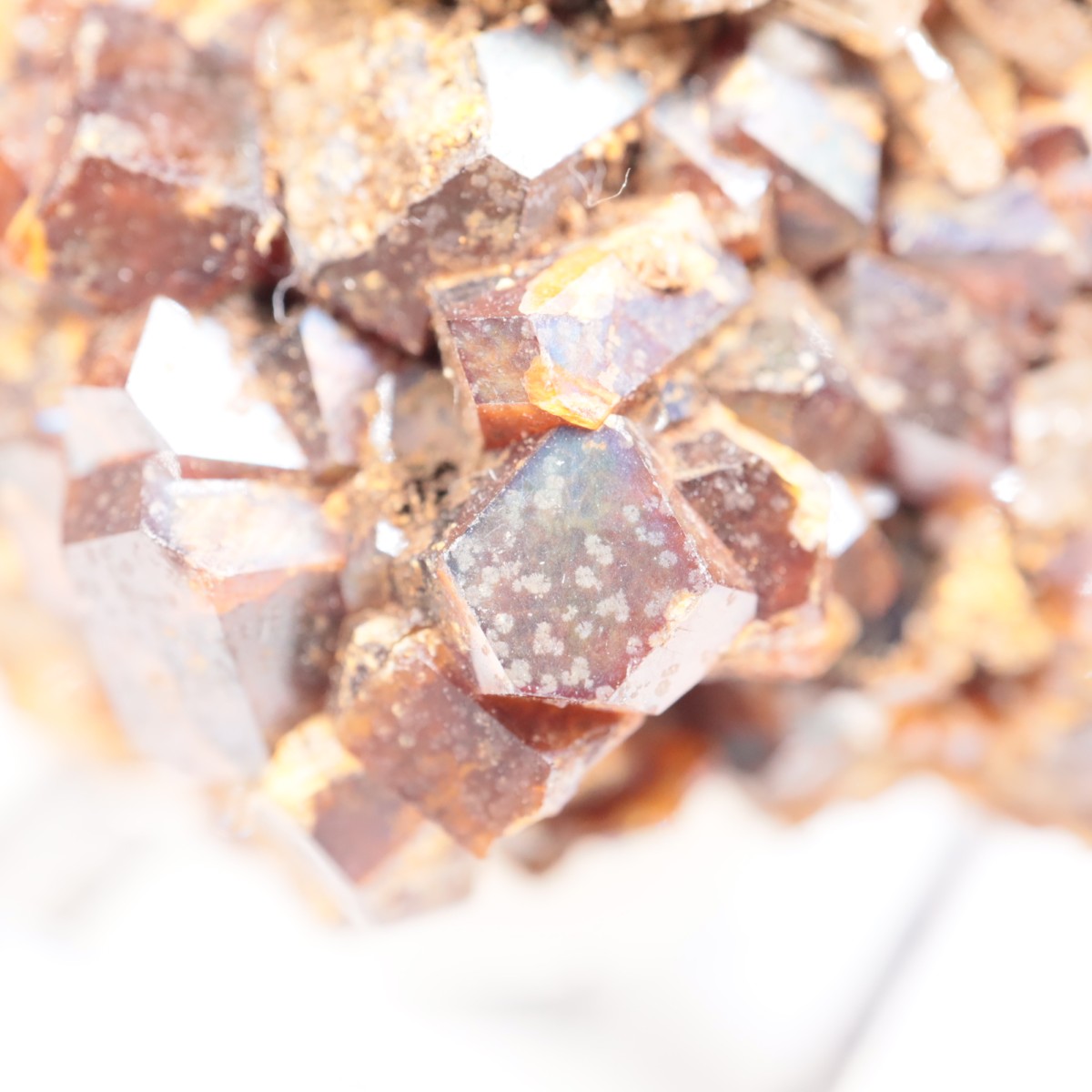 ���ɸ�ŷ��¼�ԼԴԳٻ� �쥤��ܡ������ͥå�