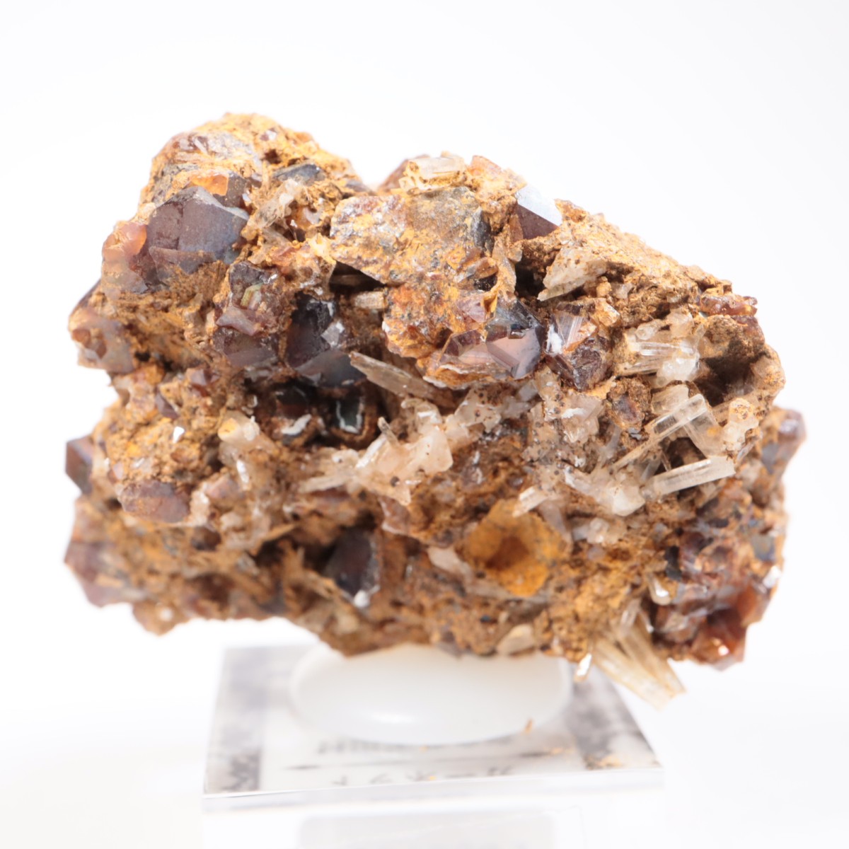 ���ɸ�ŷ��¼�ԼԴԳٻ� �쥤��ܡ������ͥå�