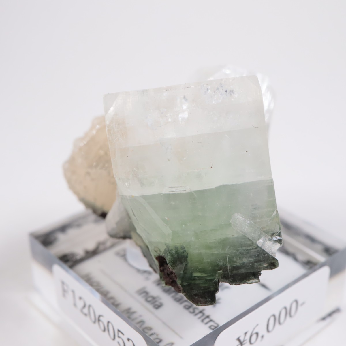 ����ɻ� ���ݥե��饤��