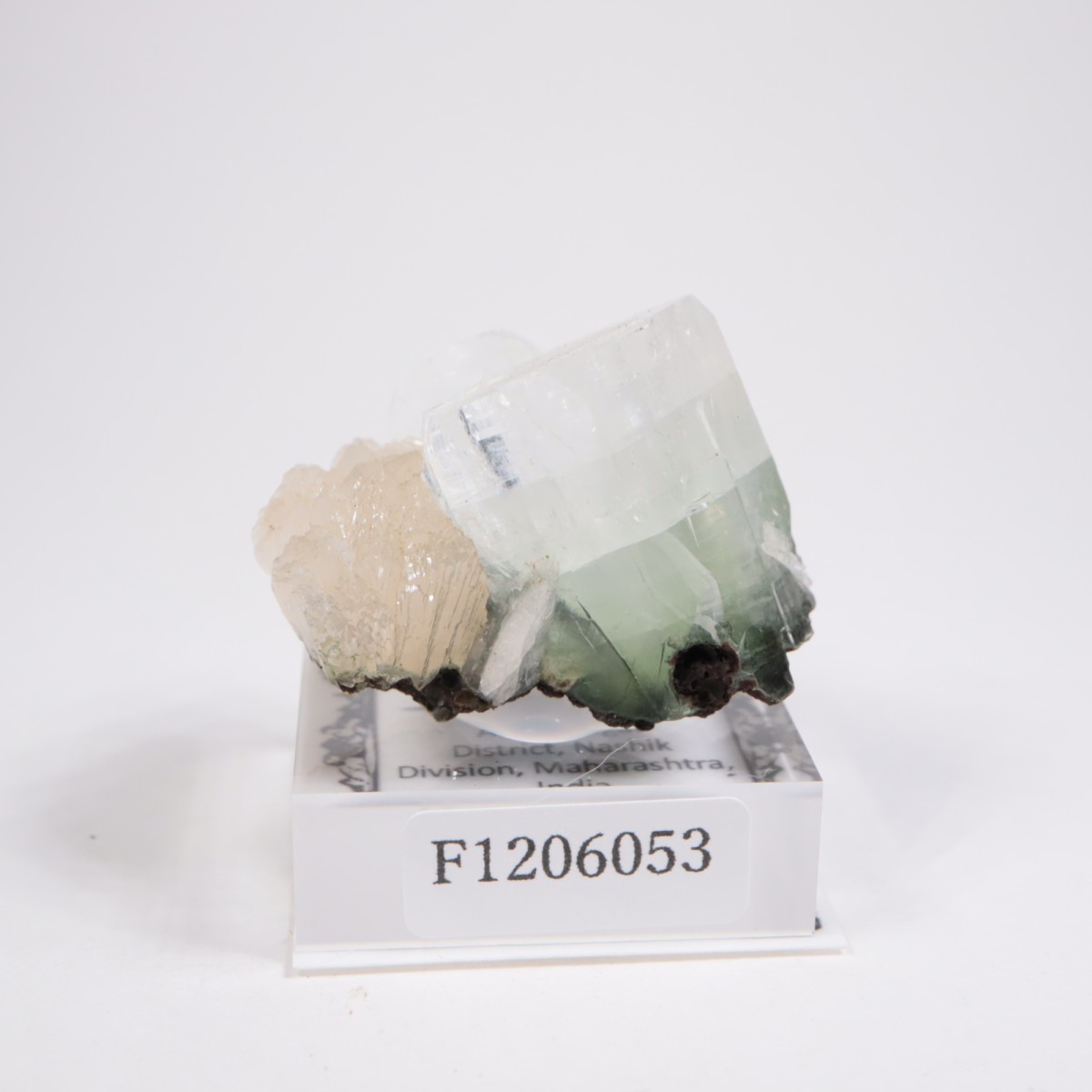 ����ɻ� ���ݥե��饤��