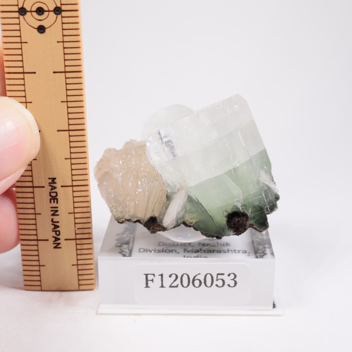 ����ɻ� ���ݥե��饤��