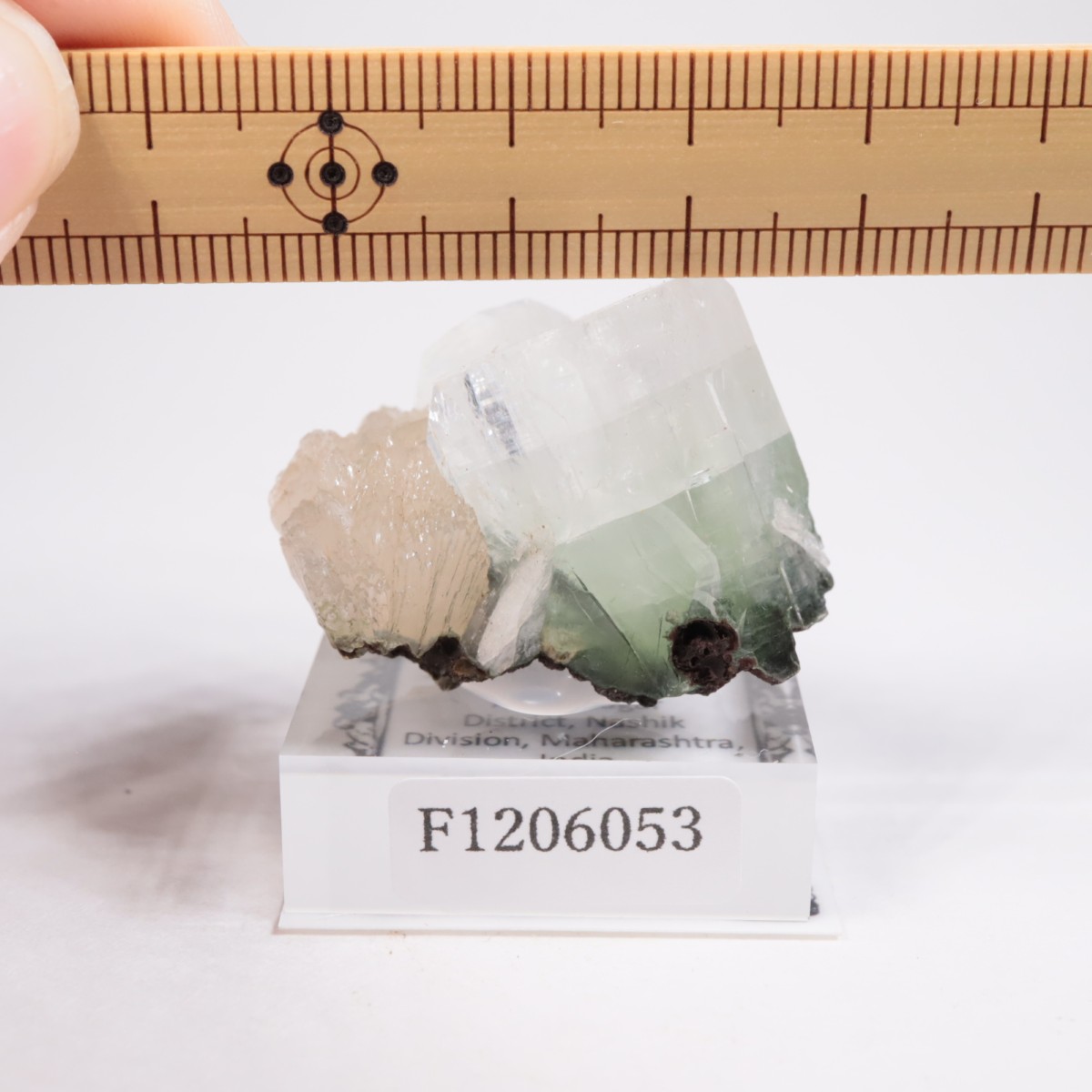 ����ɻ� ���ݥե��饤��