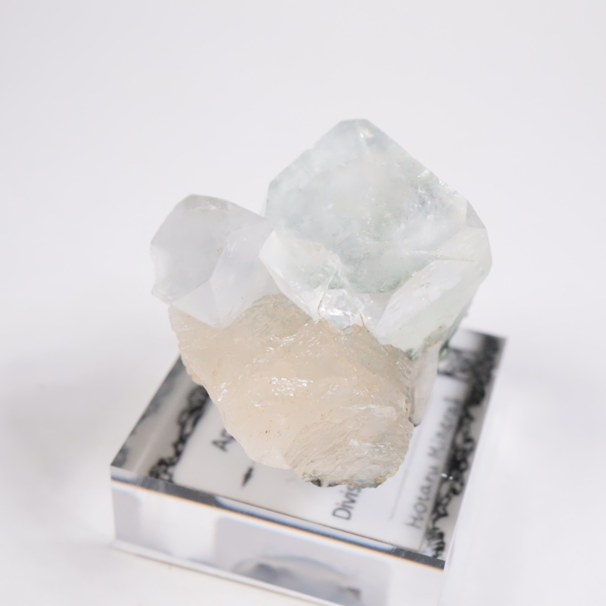 ����ɻ� ���ݥե��饤��