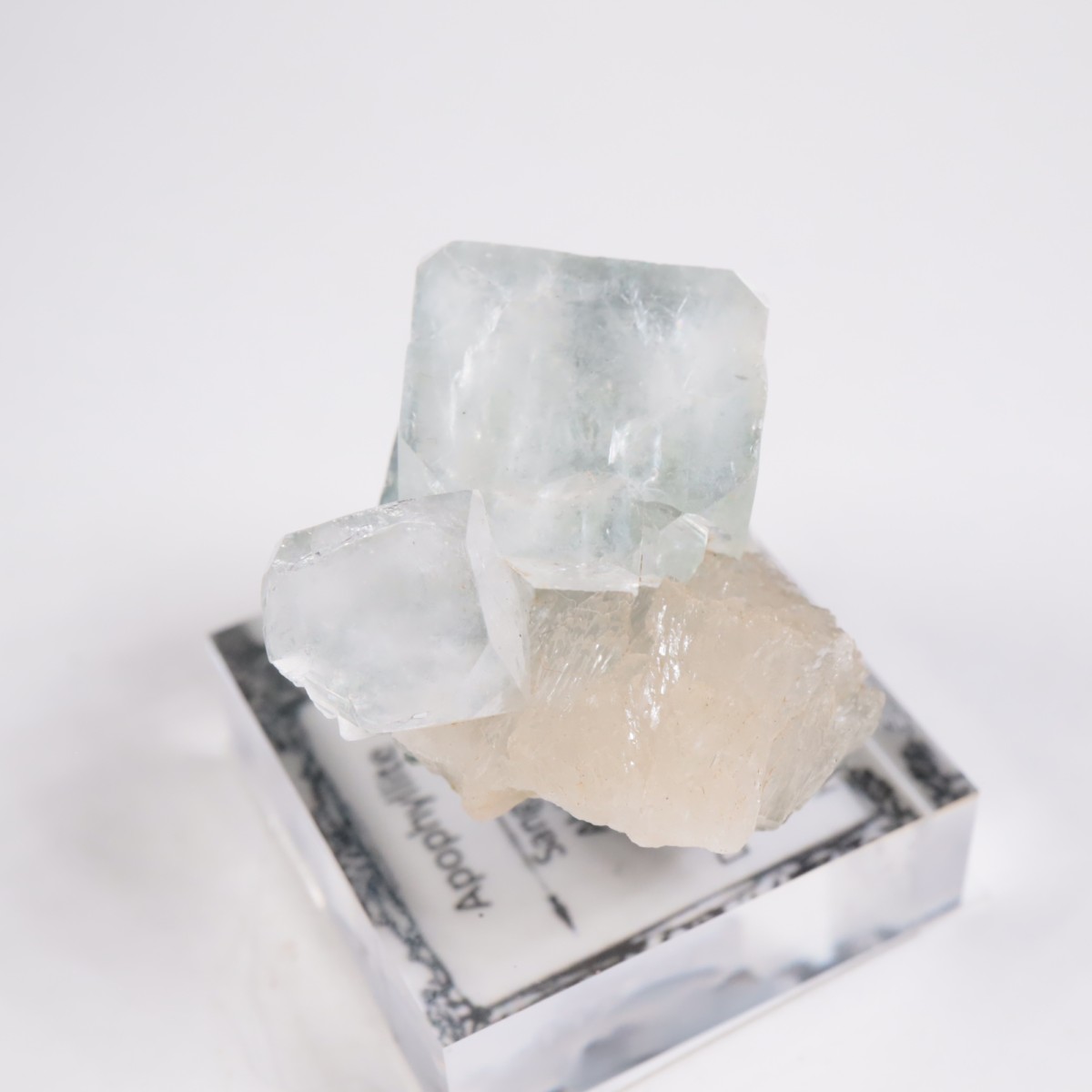 ����ɻ� ���ݥե��饤��