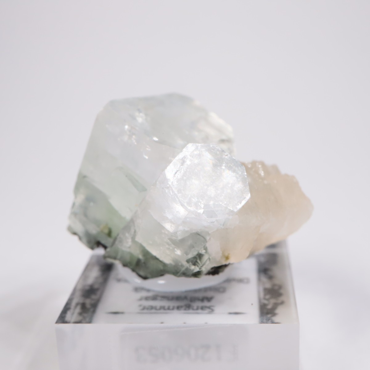 ����ɻ� ���ݥե��饤��