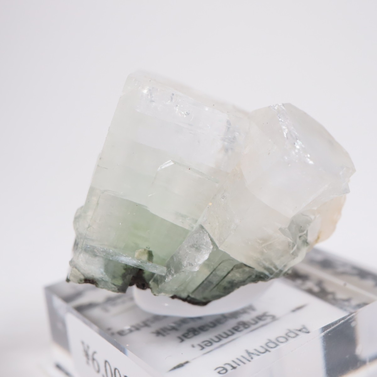 ����ɻ� ���ݥե��饤��