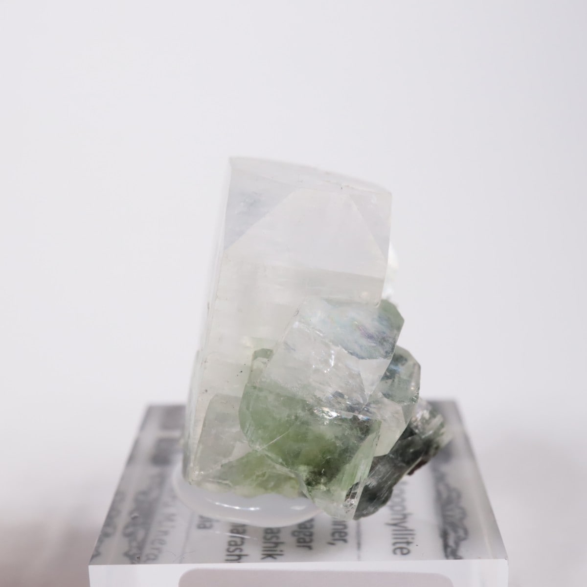 ����ɻ� ���ݥե��饤��