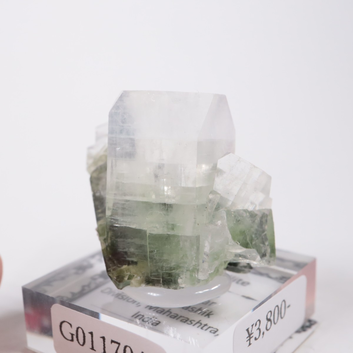 ����ɻ� ���ݥե��饤��