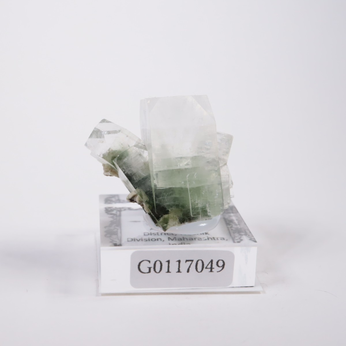 ����ɻ� ���ݥե��饤��