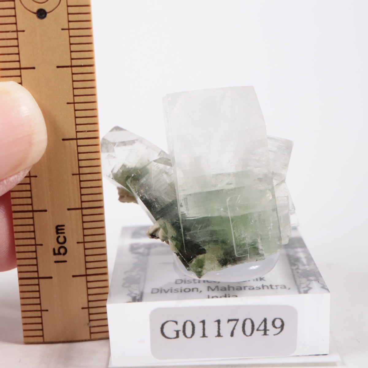 ����ɻ� ���ݥե��饤��