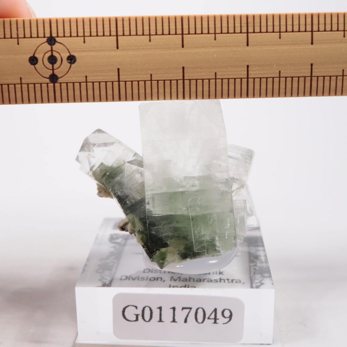 ����ɻ� ���ݥե��饤��